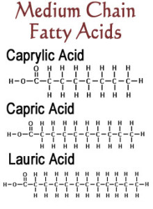 coconut-oil-medium-chain-fatty-acids-diagram